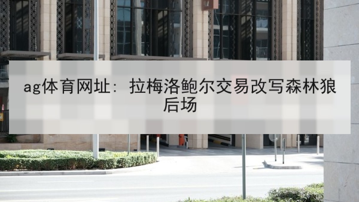 ag体育网址: 拉梅洛鲍尔交易改写森林狼后场