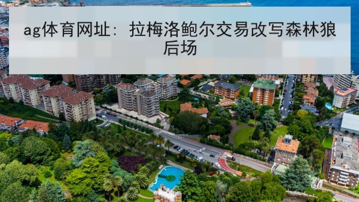 ag体育网址: 拉梅洛鲍尔交易改写森林狼后场