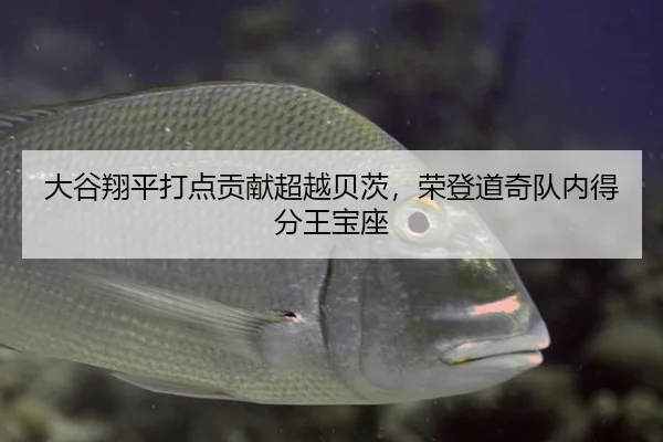 da-gu-xiang-ping-da-dian-gong-xian-chao-yue-bei-ci-rong-deng-dao-qi-dui-nei-de-fen-wang-bao-zuo-2-402.jpg