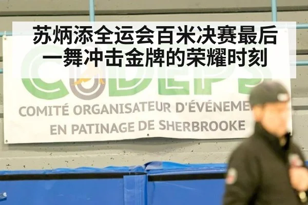 苏炳添全运会百米决赛最后一舞冲击金牌的荣耀时刻