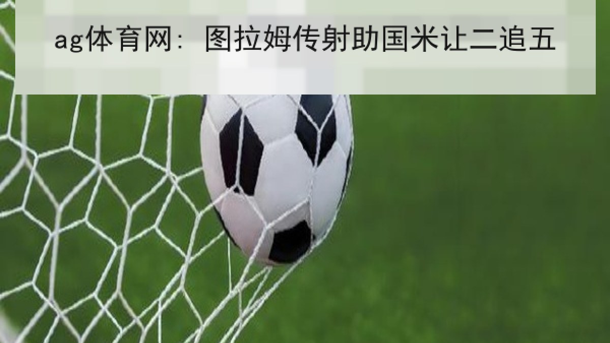 ag体育网: 图拉姆传射助国米让二追五